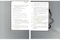 Sketchbook29. Color Xerox. 11” x 17 2021