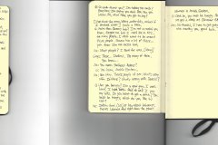 Sketchbook19. Color Xerox. 11” x 25.5" 2017